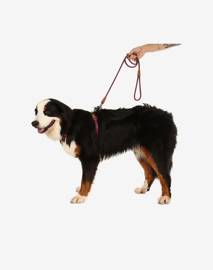 1.20m Rope Dog Leash Burgundy
