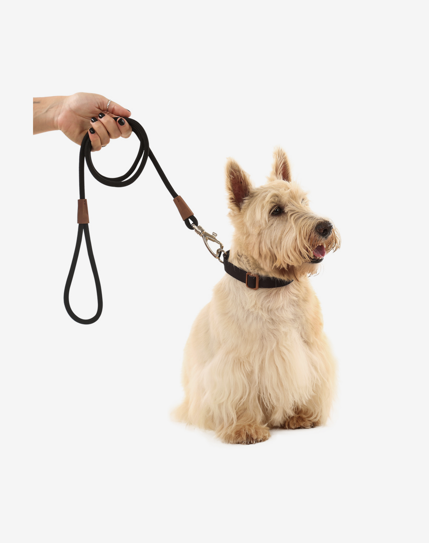 1.20m Rope Dog Leash Black