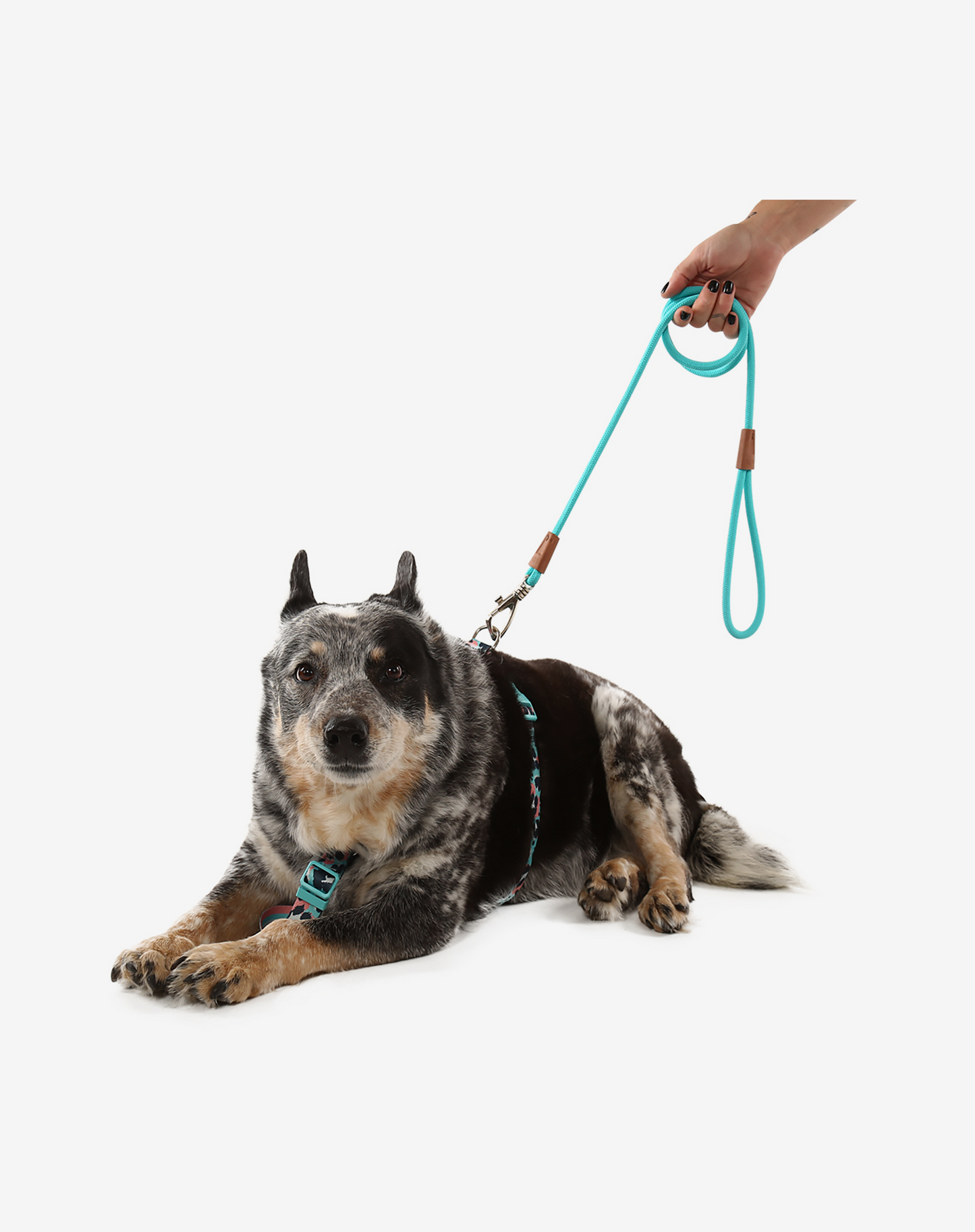 1.20m Rope Dog Leash Turquoise
