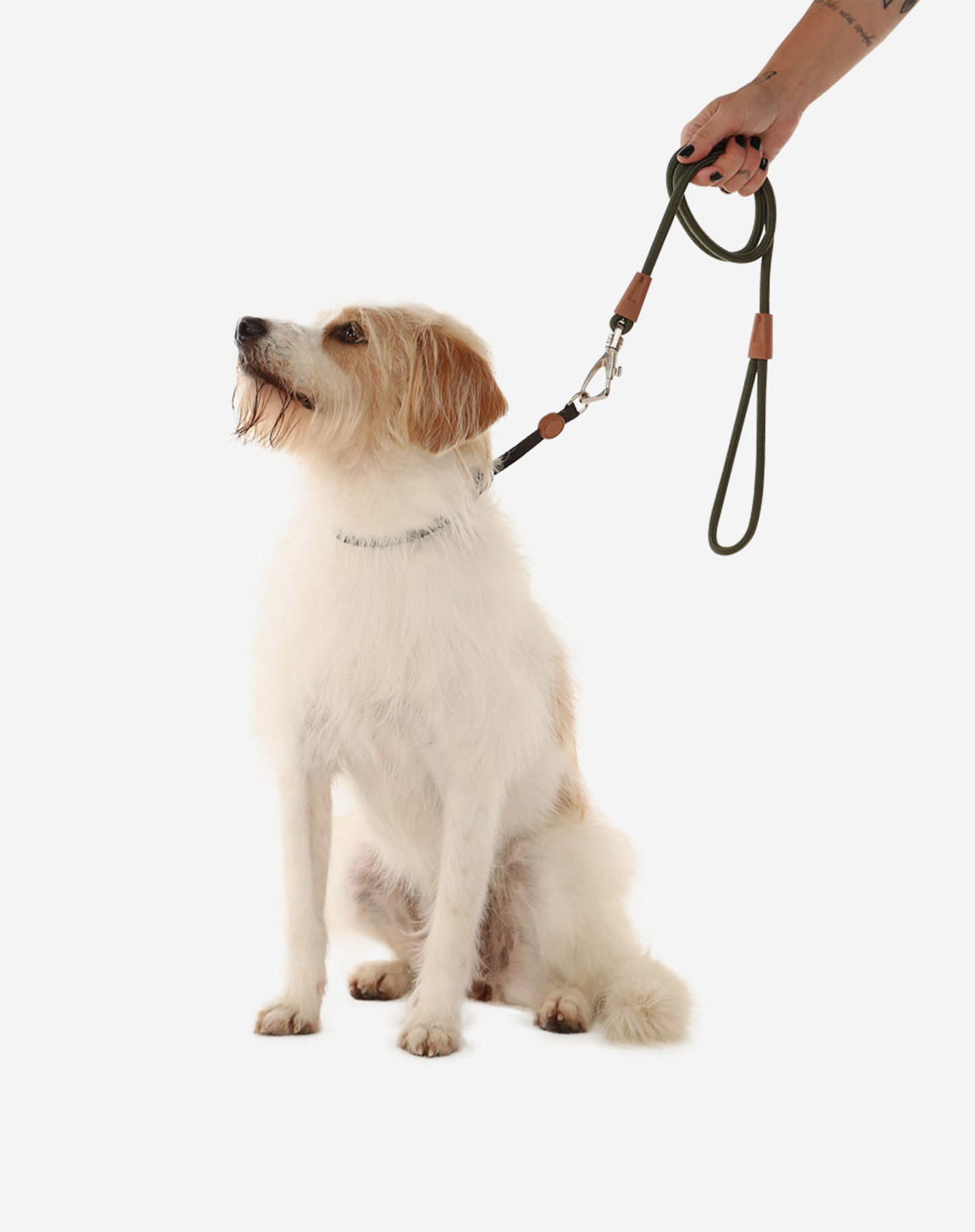 1.20m Rope Dog Leash Moss
