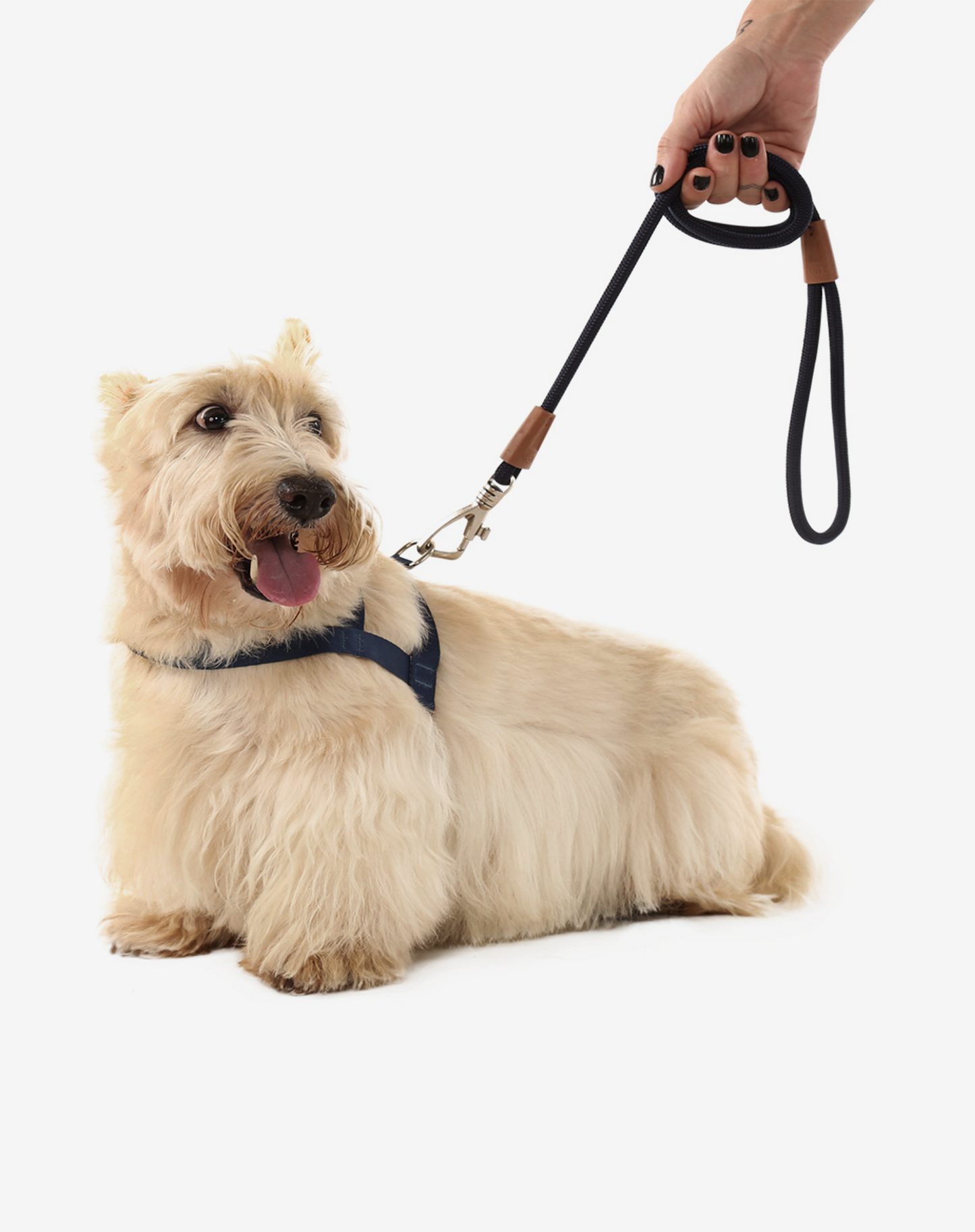 1.20m Rope Dog Leash Navy Blue