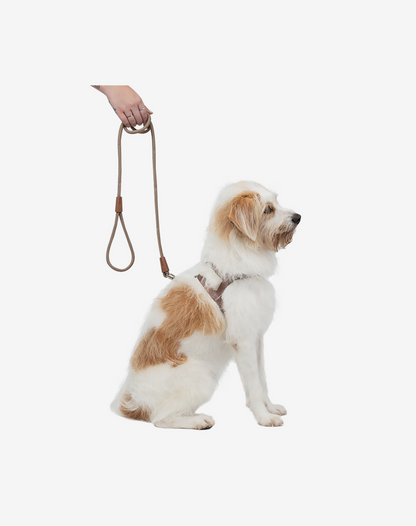 1.20m Rope Dog Leash Khaki